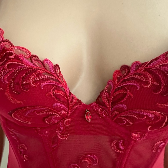 Lise Charmel French Lingerie Charm Eros Love Rubis Red Corset w/underwire Bra - Picture 3 of 4
